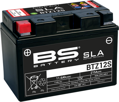 BS BATTERY Battery - BTZ12S 300637