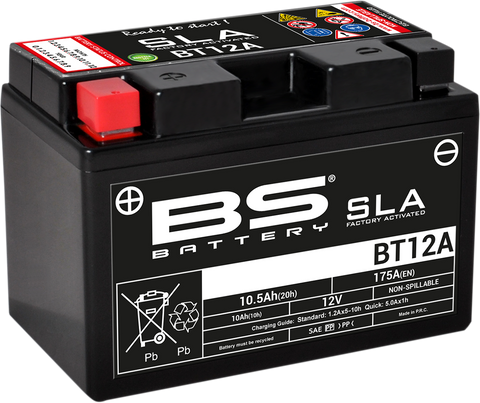 BS BATTERY Battery - BT12A 300679